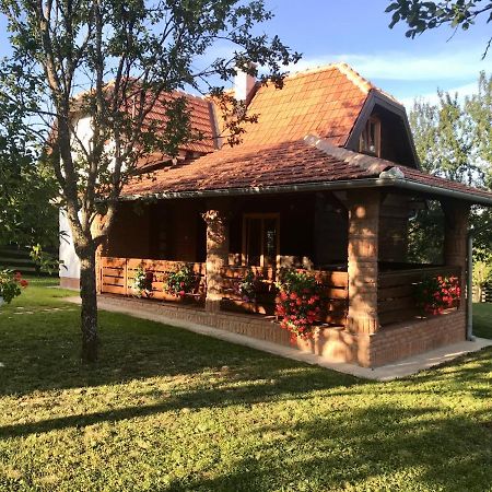 Appartement Seosko Domacinstvo Bondzulic à Užice Extérieur photo