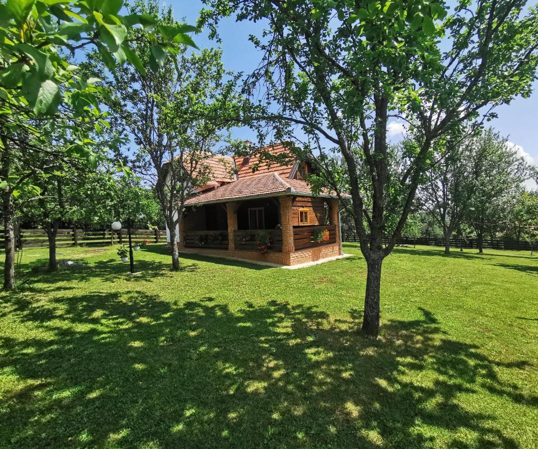 Appartement Seosko Domacinstvo Bondzulic à Užice Extérieur photo