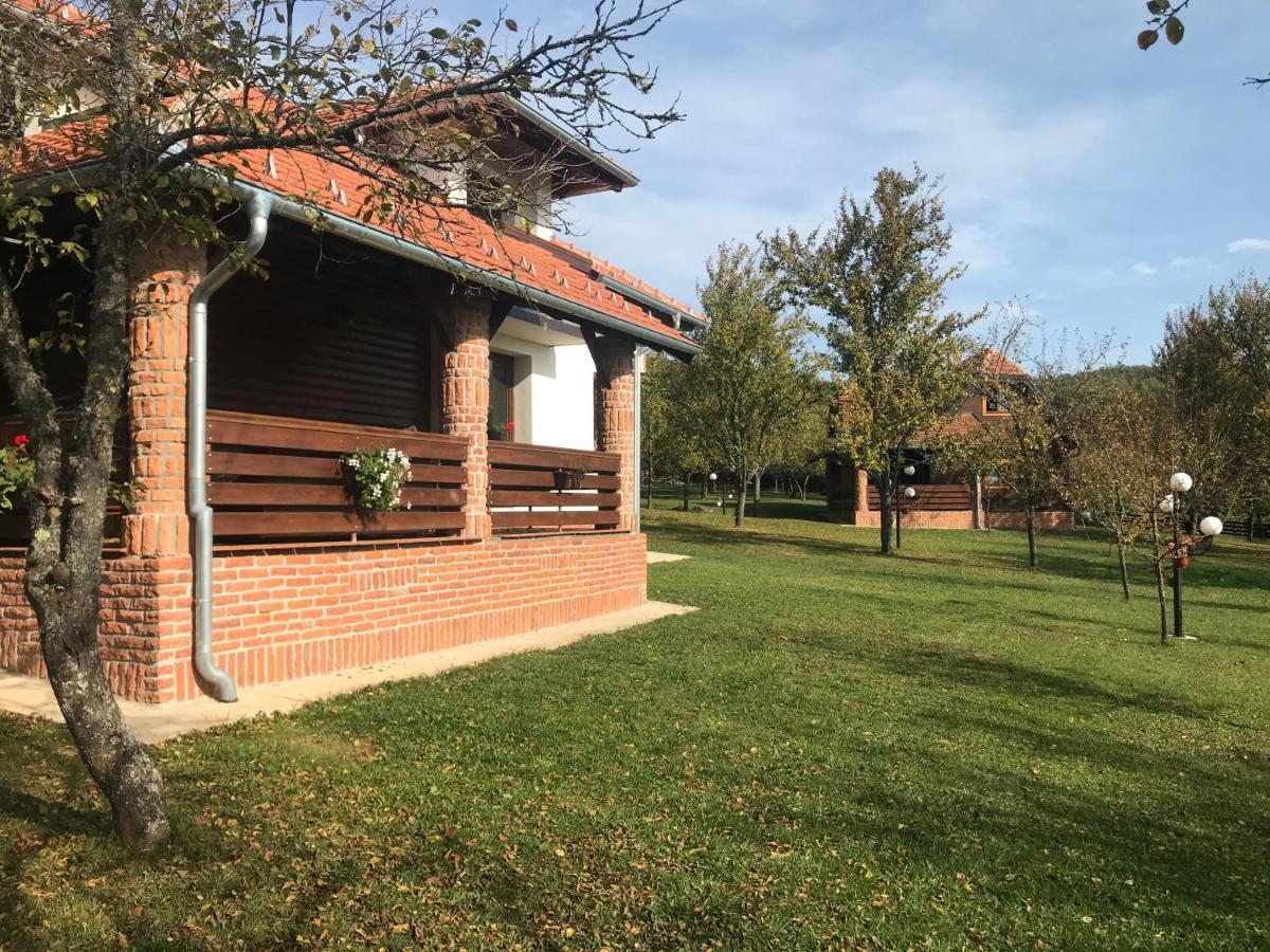 Appartement Seosko Domacinstvo Bondzulic à Užice Extérieur photo